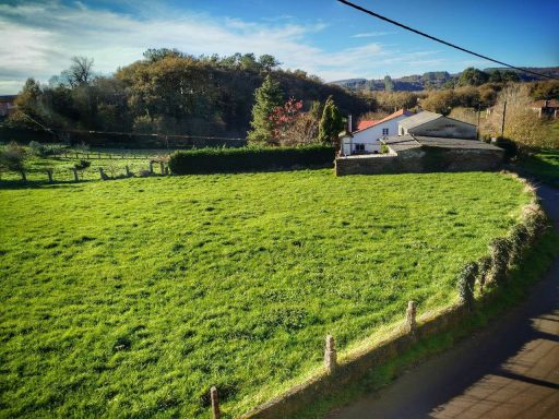 Paisaje rural con una casa blanca rodeada de un extenso pasto verde y árboles al fondo.