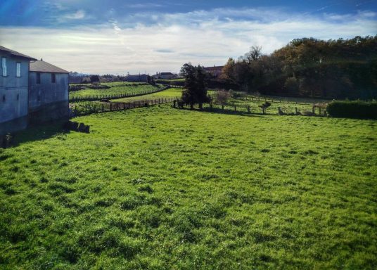 Paisaje rural con campo verde y cielos despejados, al fondo un hogar y árboles.